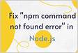 How to fix the NPM command not found error